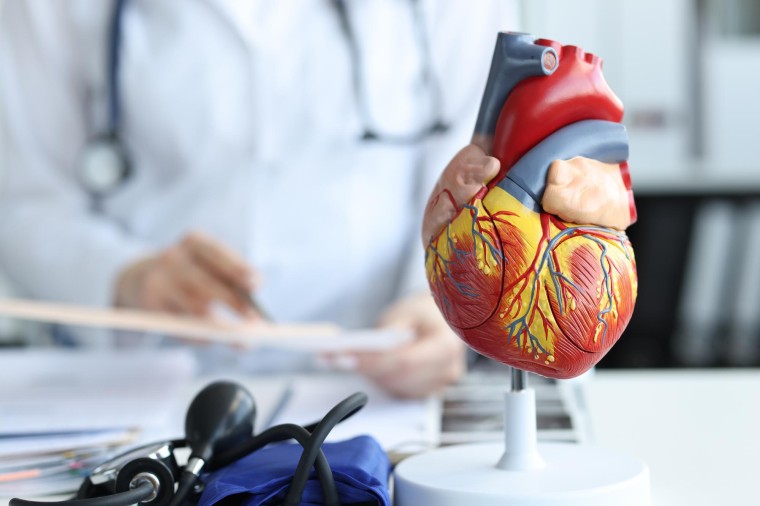 Kolokwia i egzaminy z anatomii na studiach lekarskich